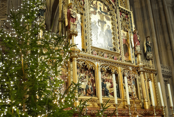 Image of Wakefield Cathedral's organ with a Christmas tree.